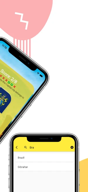 Countries and Flags Screenshot 2