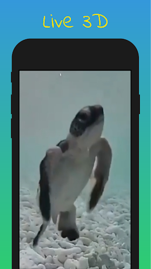 Baby Turtle Live Wallpaper Screenshot 2