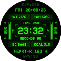 NukaBot 1000 Watch Face