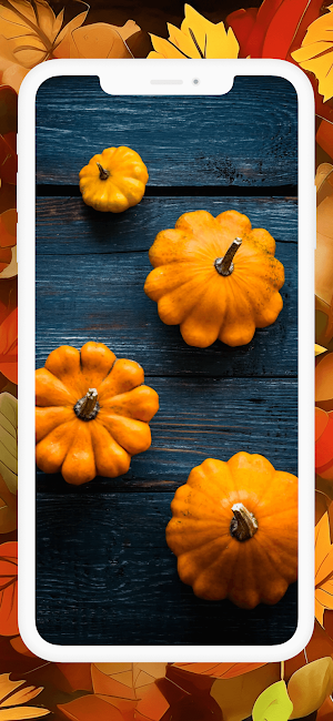 Thanksgiving Day Wallpapers HD Screenshot 2