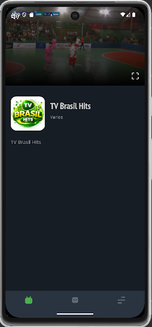TV Brasil Hits Screenshot 0