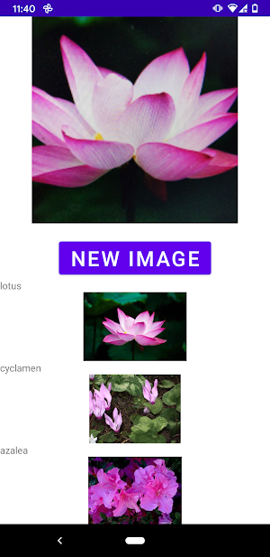 Flower identifier Screenshot 0