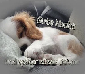 Gute Nacht Screenshot 2