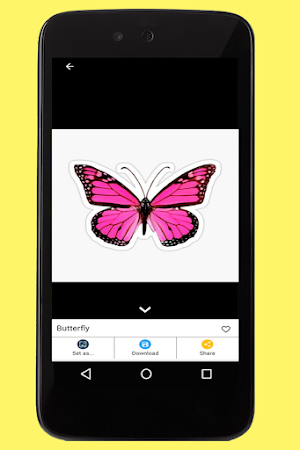 Butterfly Images Screenshot 2