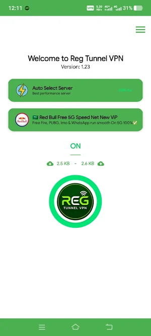 Reg Tunnel VPN Screenshot 0