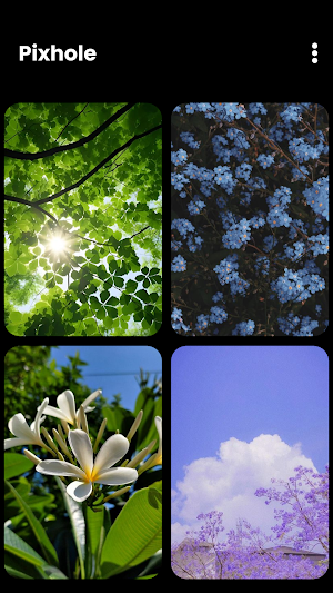 Pixhole Screenshot 3