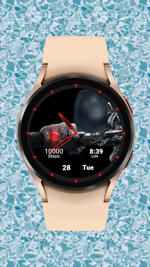 Pathfinder Watch Face Screenshot 1