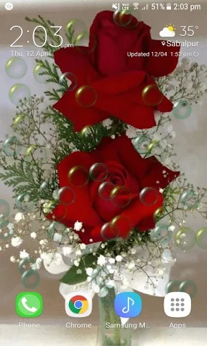 Red Roses Bubble LWP Screenshot 0