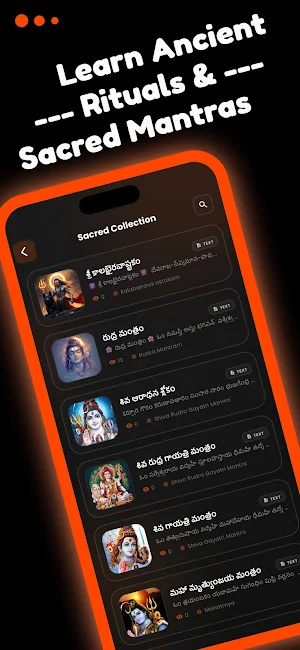 Sanatana Vedika: Bhakti App Screenshot 3