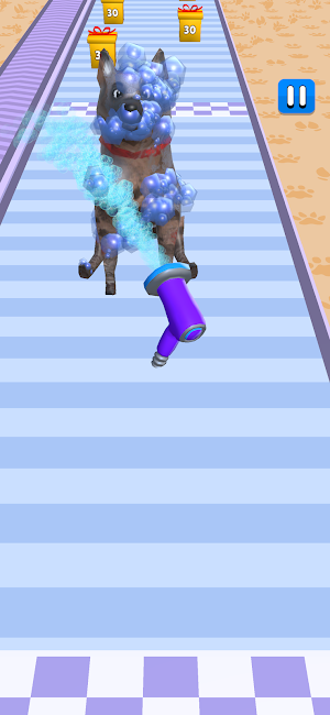 Pet Care Runner Screenshot 3