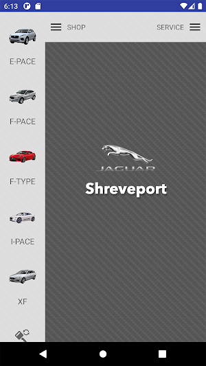 Jaguar Shreveport Screenshot 0