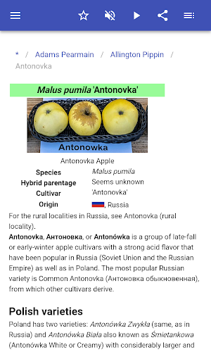 Varieties of apples Screenshot 3
