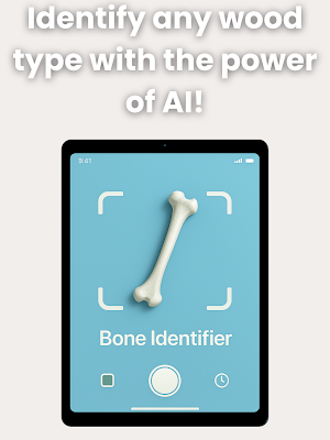 Bone Identifier: AI Scan Screenshot 3