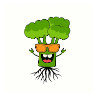 Veggie Fresh Christchurch