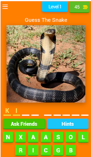 Guess The Word By Picture Quiz Screenshot 2
