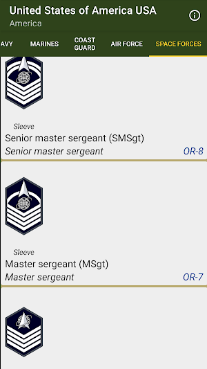 Military Ranks Screenshot 3