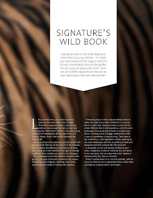 Signature Travel & Lifestyle Screenshot 2