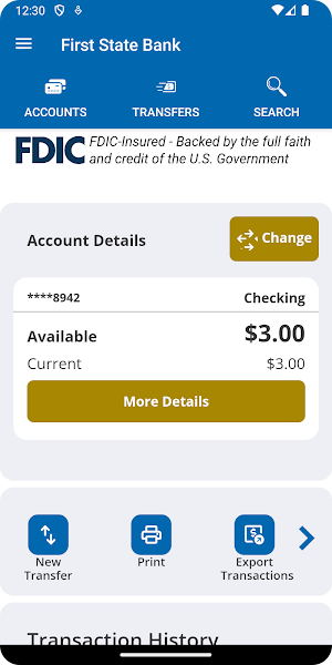 FSB Ransom Screenshot 2