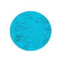 SPOT BTN