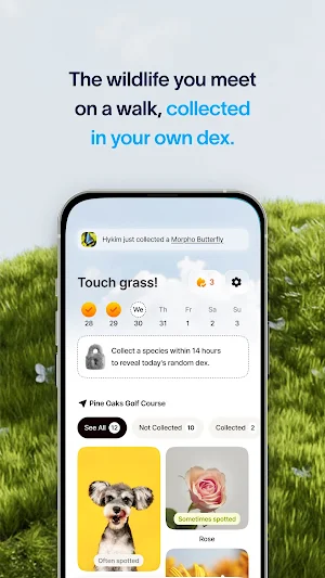 WildFolio: Wildlife Nature Dex Screenshot 0