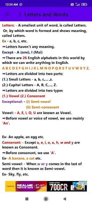 Basic English Grammar Screenshot 2