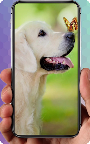 Cute Puppy Wallpaper Screenshot 0