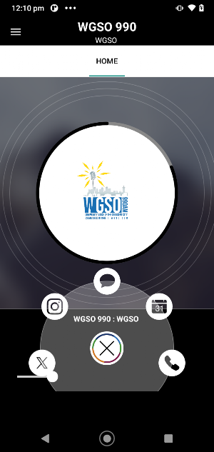 WGSO 990AM Screenshot 1