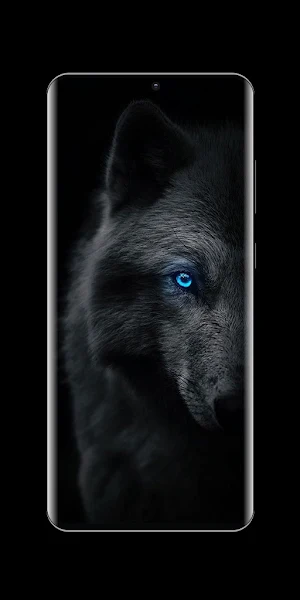 Black Live Wallpaper Screenshot 3