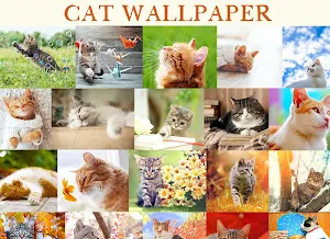 Wallpaper Cat Collection Screenshot 1