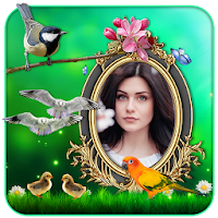 Birds 3D Live Wallpaper