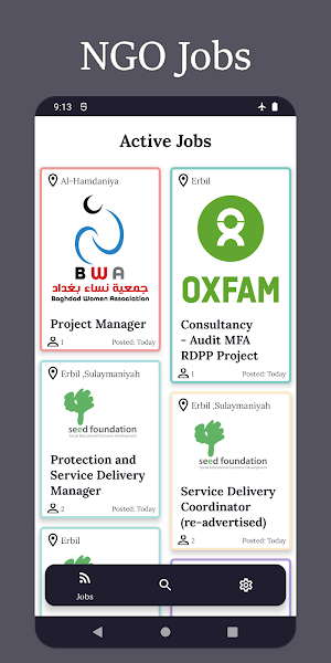 Iraq NGO Jobs Screenshot 0