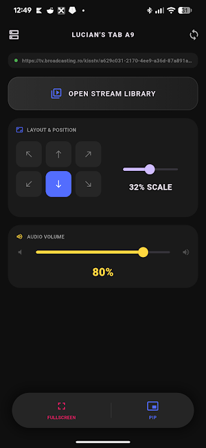 Apip - Remote Screenshot 1