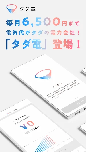 タダ電 - 毎月電気代が6,500円タダになる電力会社 Screenshot 0