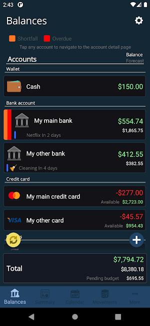 My Accounts and Expenses Screenshot 0