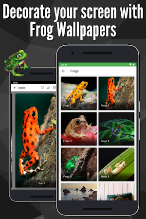 Frogs Wallpaper : Full HD Screenshot 0