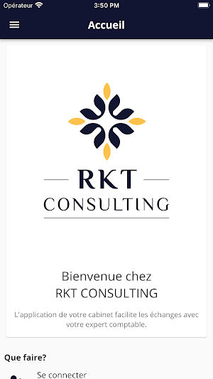 RKT CONSULTING Screenshot 0