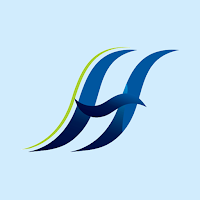 Hollilander