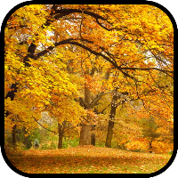 Autumn Wallpapers