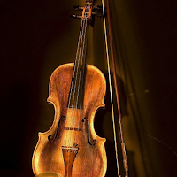 Violin Wallpapers UHD