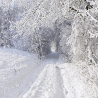 Relaxing Snowfall Sounds : Rel