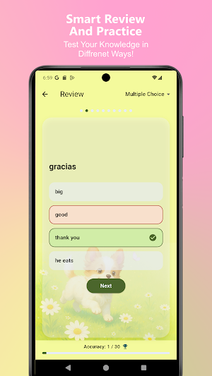 Memyo: Flashcards & Vocabulary Screenshot 2