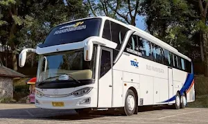 Telolet Bus Mania Wallpaper Screenshot 3
