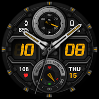 WFP 135 Hybrid watch face