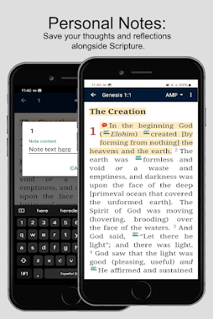Bible AMP Screenshot 3
