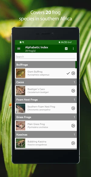 Frogs of Southern Africa LITE Screenshot 0
