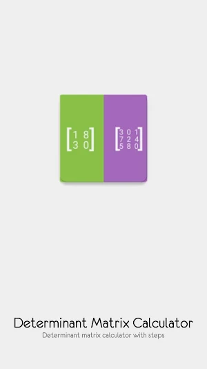 Determinant Matrix Calculator with steps Screenshot 0