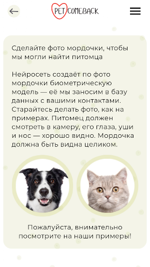 Petcomeback Screenshot 3