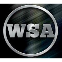 Wisdom Solutions Academy