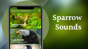 Sparrow Sounds - Sparrow Calls Ringtone Screenshot 1
