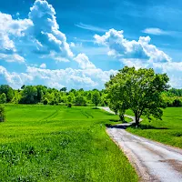 Day Wallpapers 2022